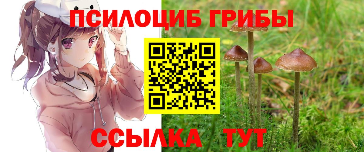 Костомукша  Псилоцибиновые грибы прущие грибы  Галлюциногенные грибы MAGIC MUSHROOMS  Вход с VPN 